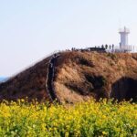 제주도 여행 2박3일 버스 동선 지도와 서귀포 주요 정류장 표시