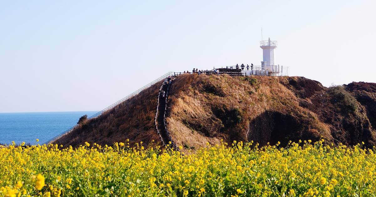 제주도 여행 2박3일 버스 동선 지도와 서귀포 주요 정류장 표시